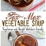 Tex-Mex Vegetable Soup